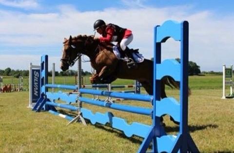 Tysk Sportspony Conny Walker billede 11