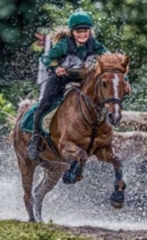 Tysk Sportspony Conny Walker billede 13