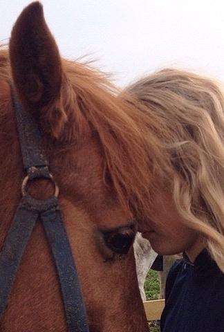 Tysk Sportspony Conny Walker billede 17