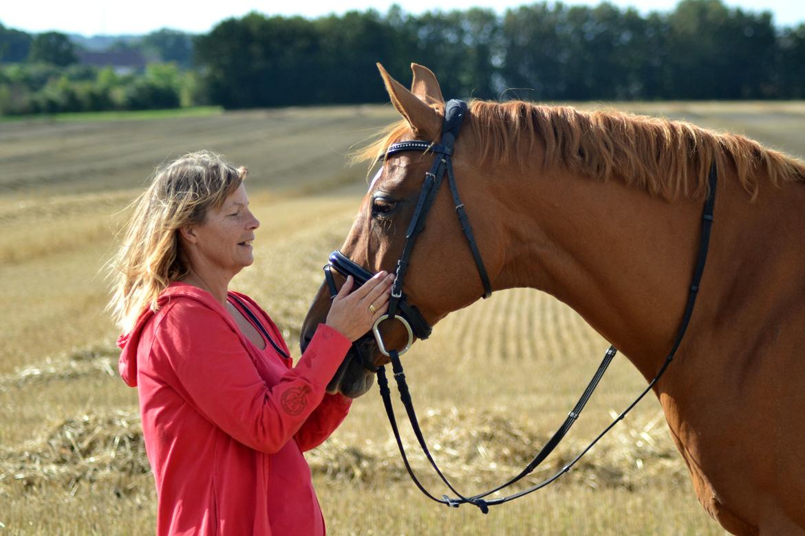 Dansk Varmblod Diamant - dimse og mor! foto: hauge photo billede 18