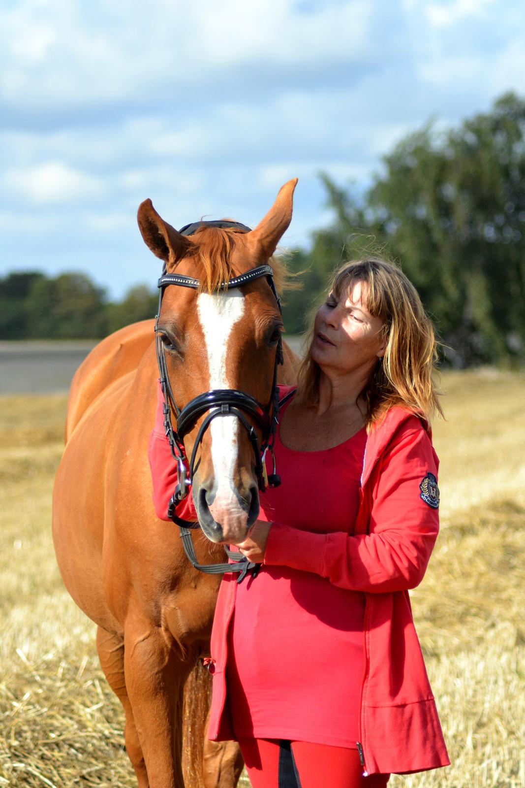 Dansk Varmblod Diamant - dimse og mor! foto: hauge photo billede 22