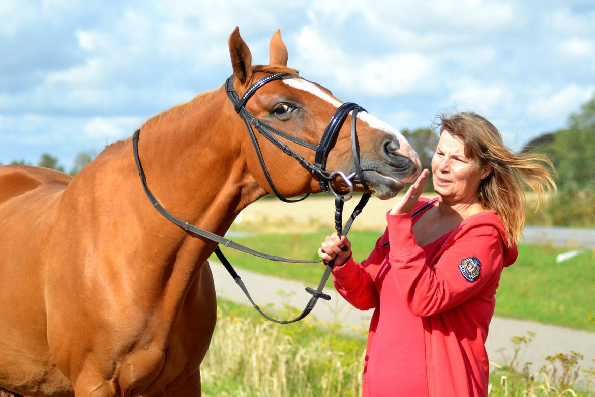 Dansk Varmblod Diamant - dimse og mor! foto: hauge photo billede 23