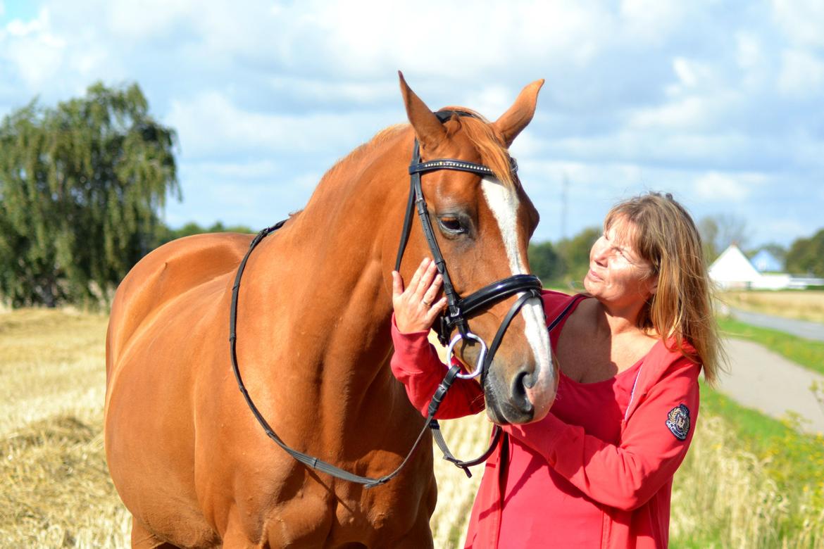Dansk Varmblod Diamant - dimse og mor! foto: hauge photo billede 25