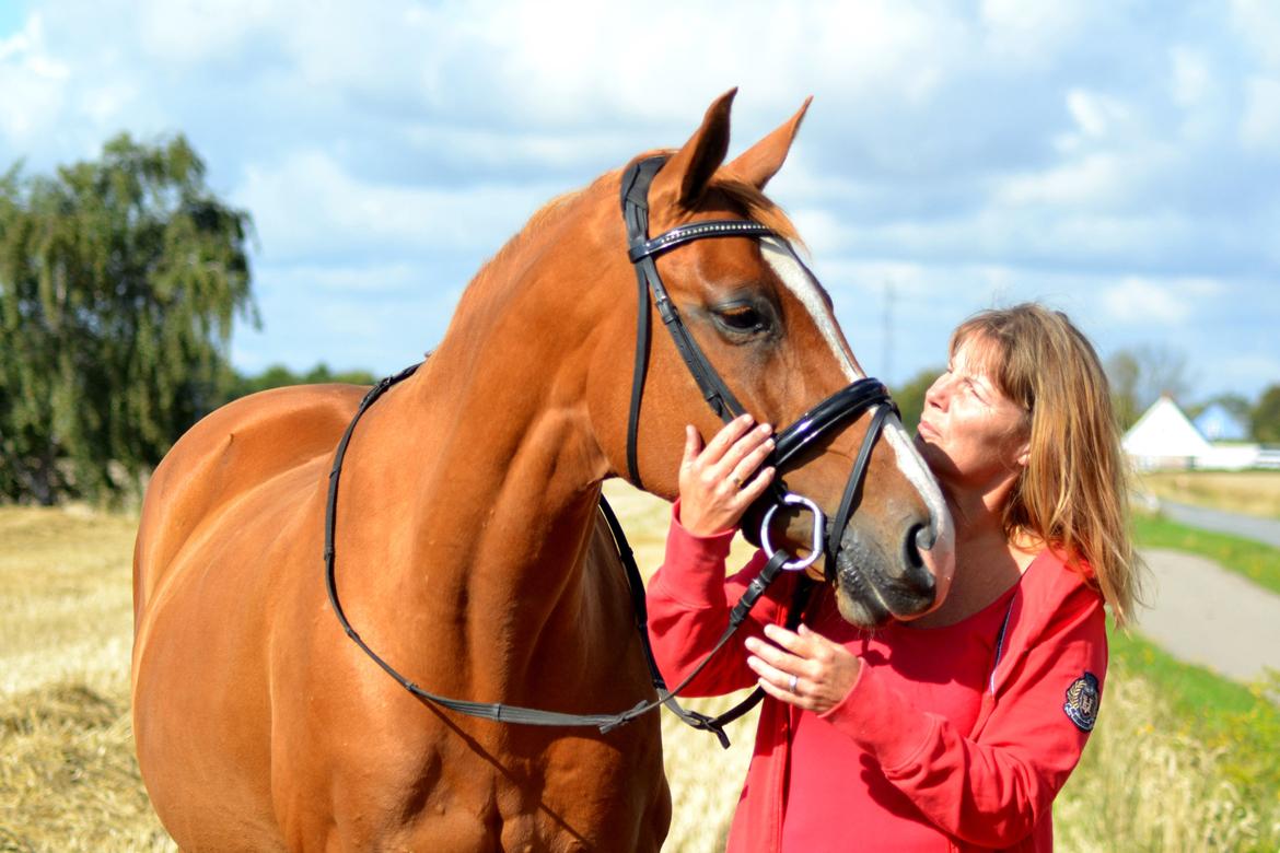 Dansk Varmblod Diamant - dimse og mor! foto: hauge photo billede 24