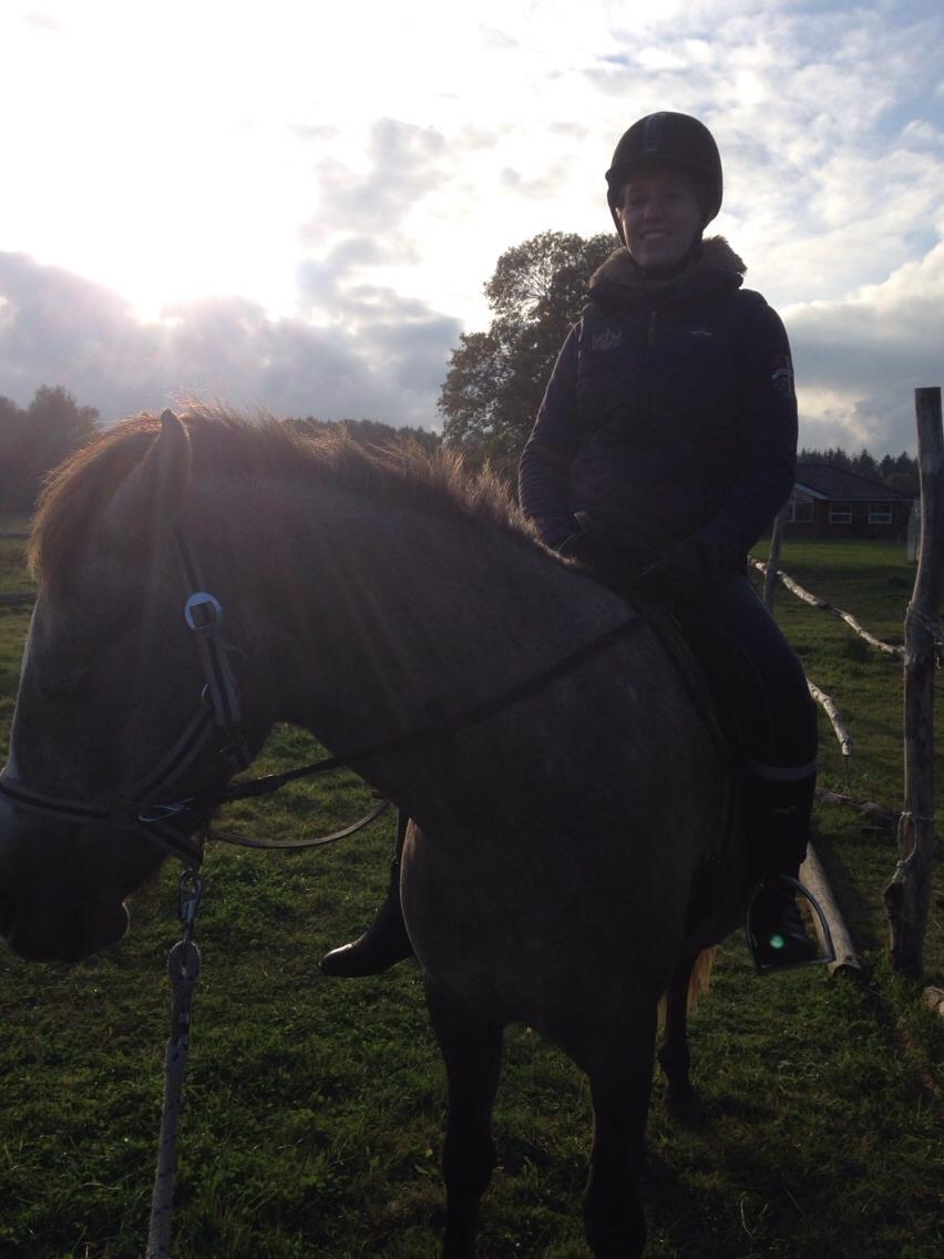 Anden særlig race Garcia Fox pox solgt billede 25