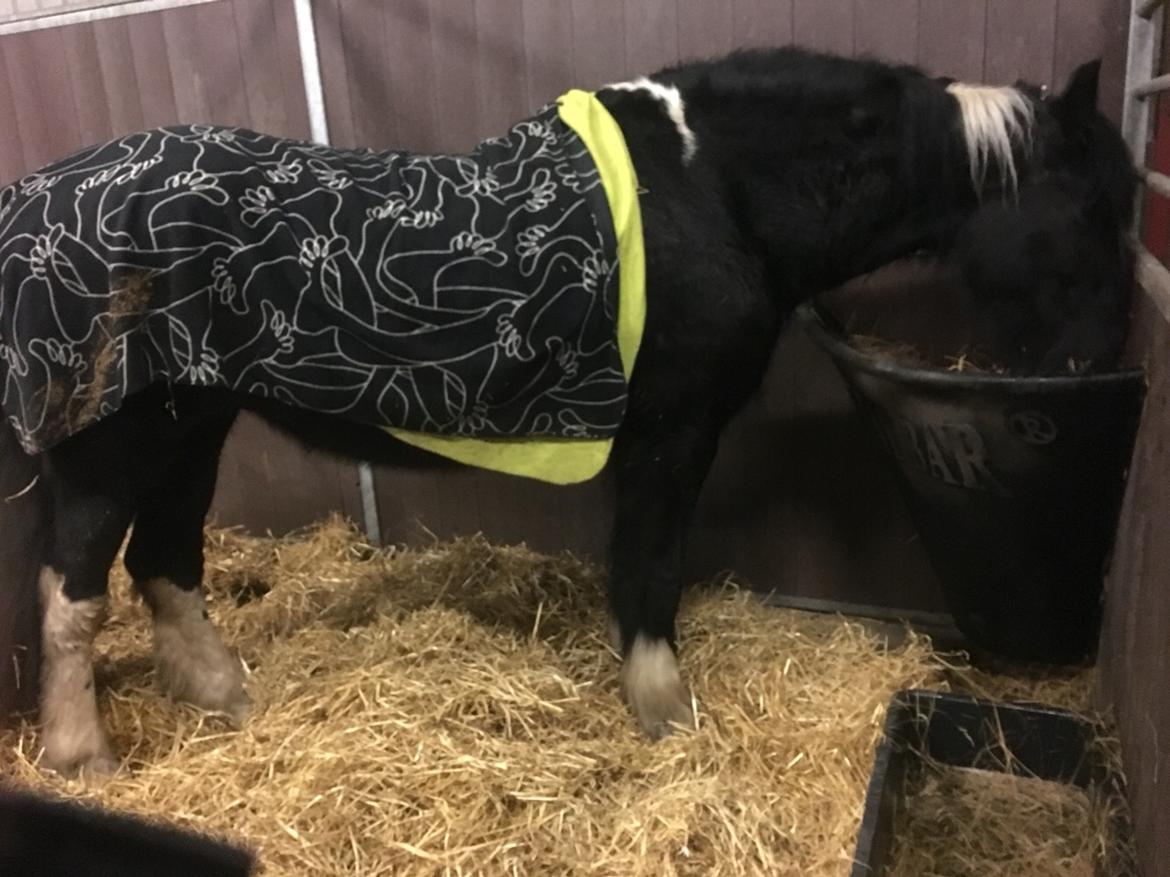 Frieser Afroditte billede 8