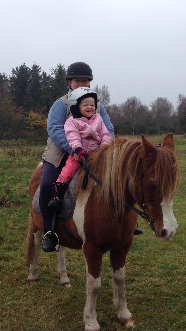 Anden særlig race Tito billede 22