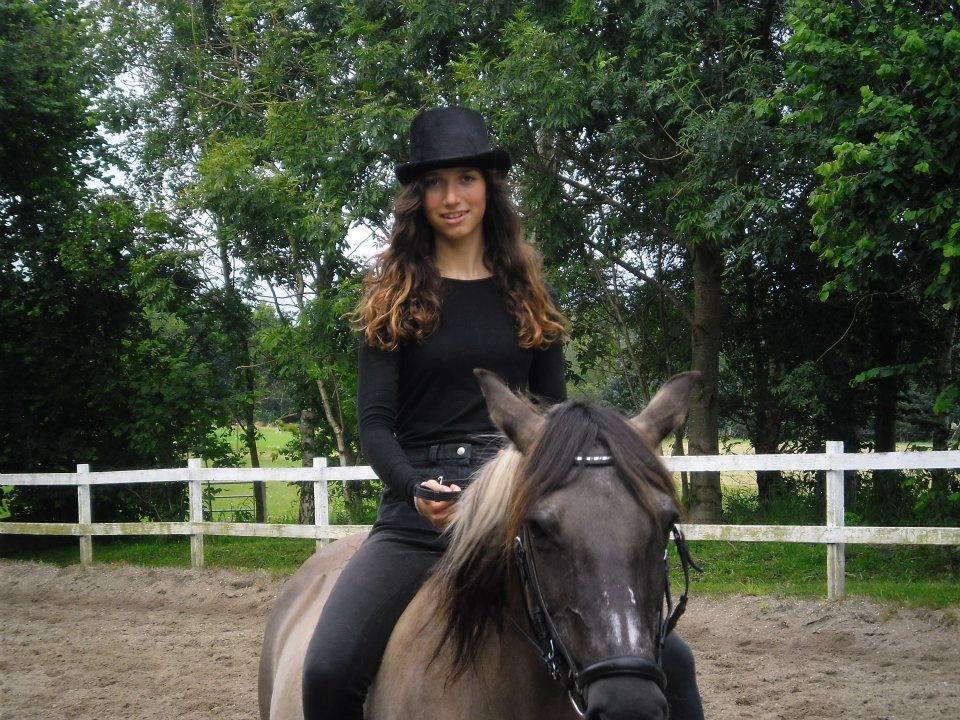 Konik Polski Musse billede 8