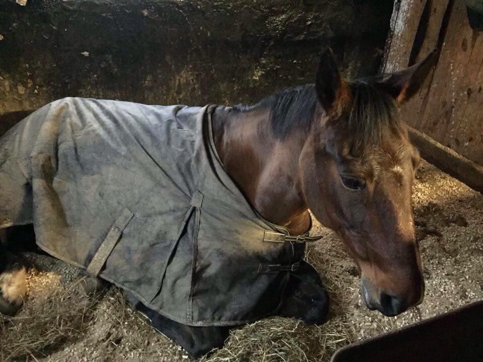 Traver Quiz billede 14