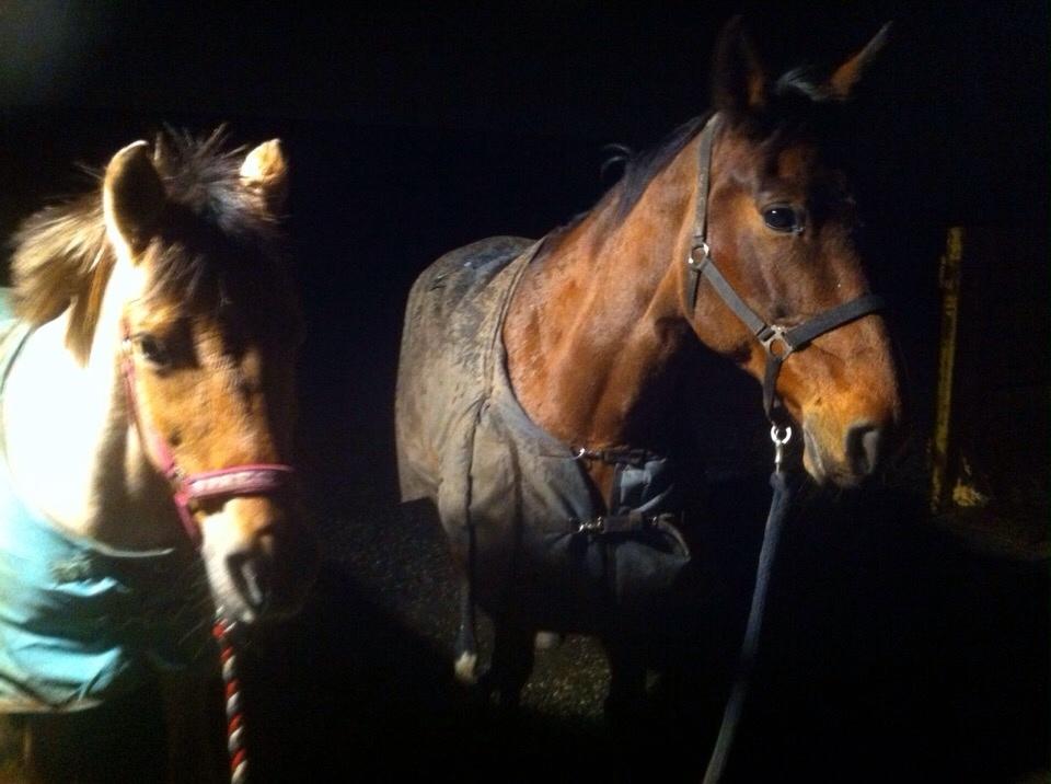 Traver Quiz billede 19