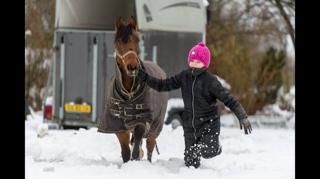 Anden særlig race Freica  billede 2