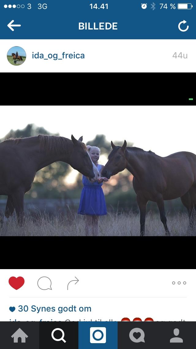 Anden særlig race Freica  billede 11