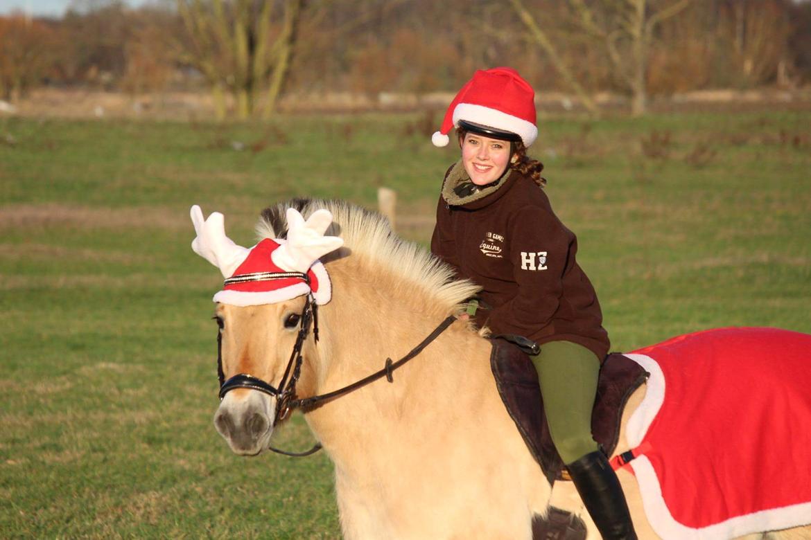 Fjordhest Sif (pony) ¤my soulmate¤ billede 22