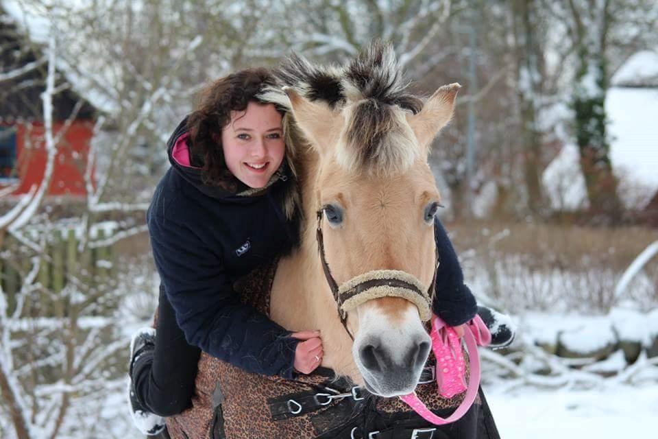 Fjordhest Sif (pony) ¤my soulmate¤ billede 1