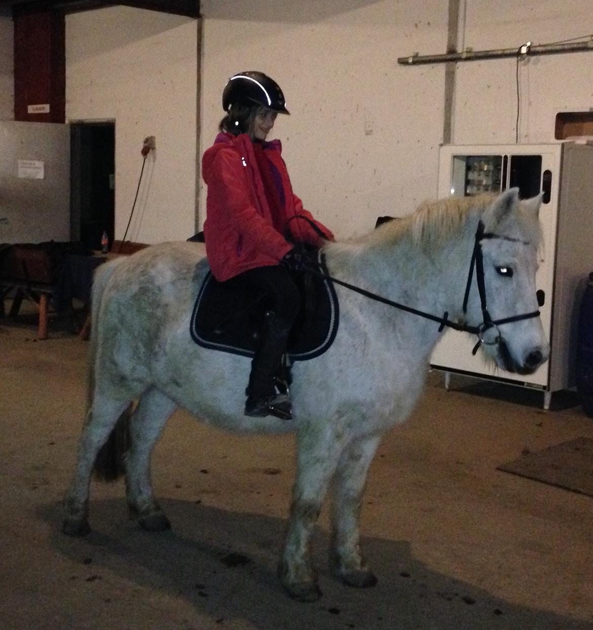 Anden særlig race Jumping Victory - den dag hun fik ham <3 billede 2