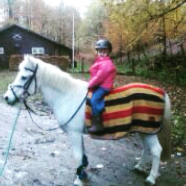 Anden særlig race Jumping Victory - skovtur med Jose billede 3