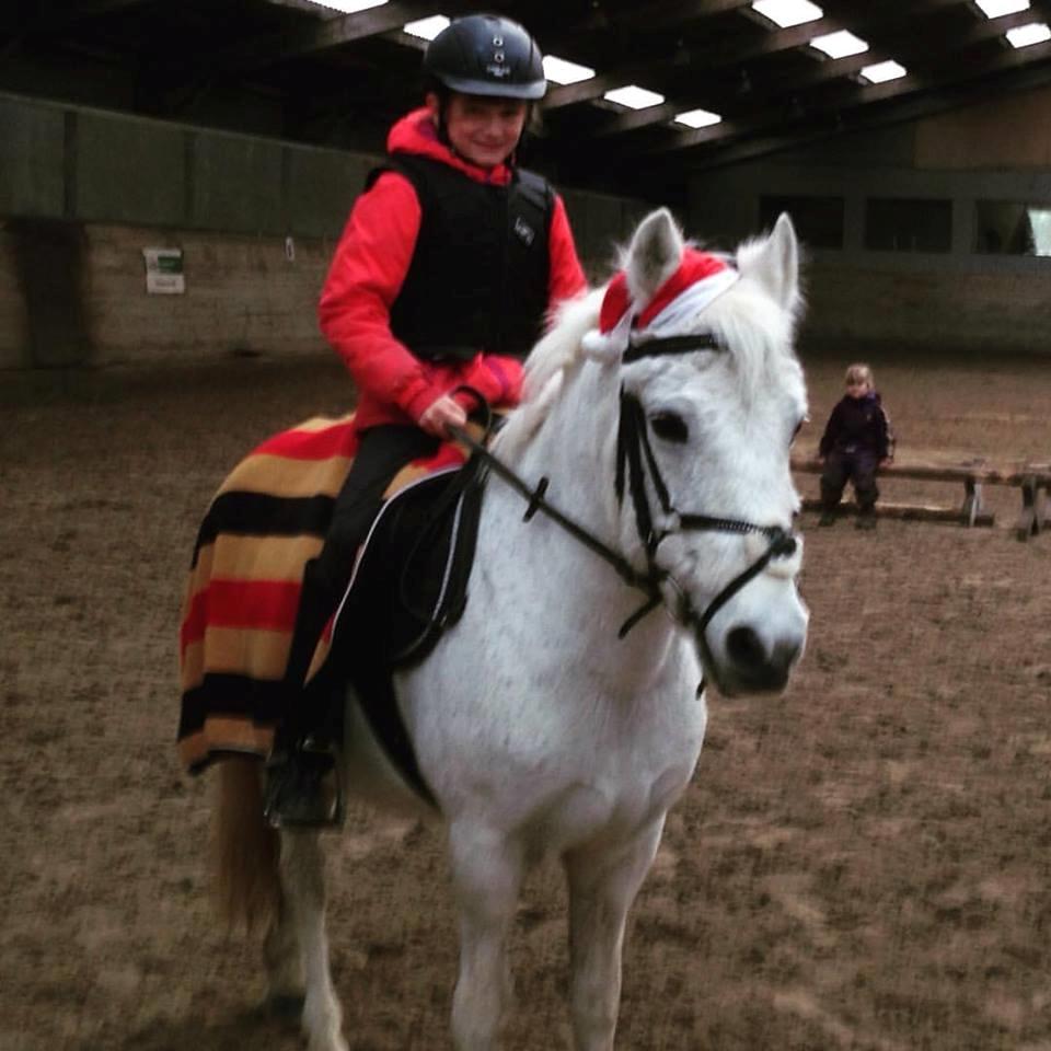 Anden særlig race Jumping Victory - jule hygge billede 4