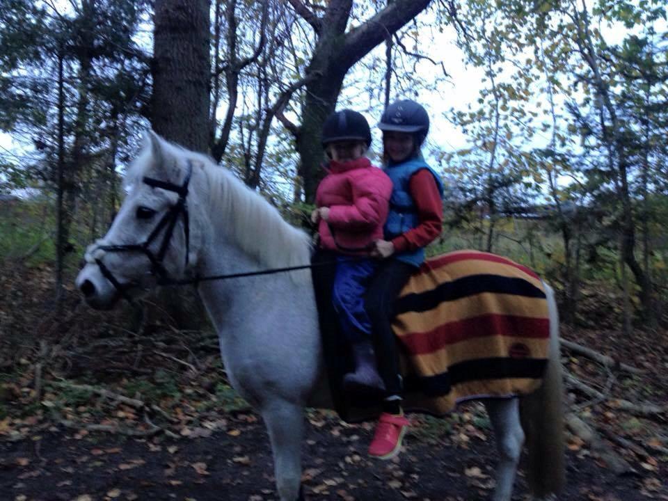 Anden særlig race Jumping Victory - mine piger på tur i skoven billede 1