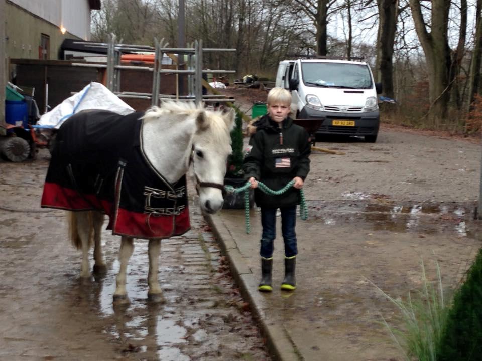 Anden særlig race Jumping Victory - Kasper har fået æren af at passe Viggo billede 7
