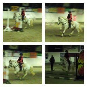 Anden særlig race Jumping Victory - springundervisning billede 8