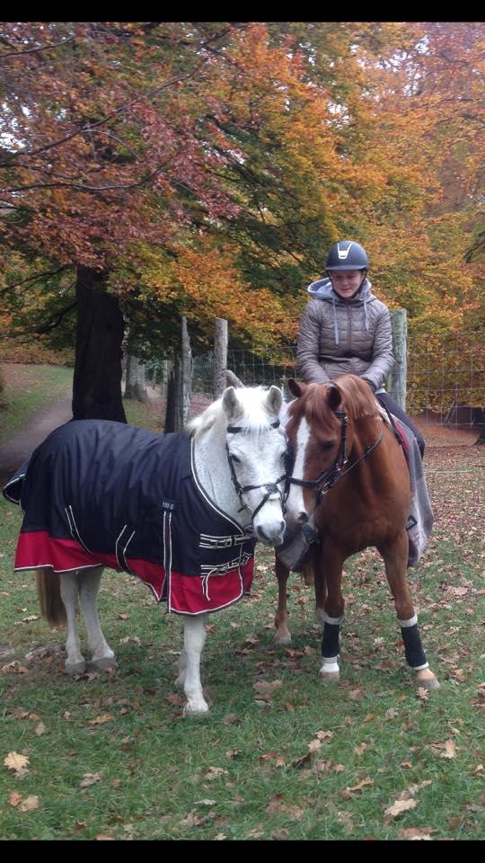 Anden særlig race Jumping Victory - Viggo og Gab Gab på tur med Sara billede 5