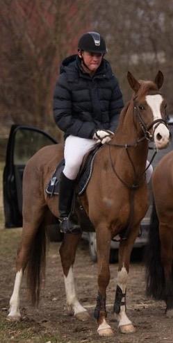 Arabisk fuldblod (OX) Tamson - her er det til baby jagt billede 2