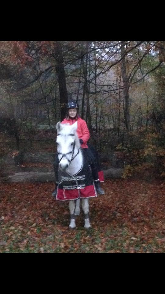 Anden særlig race Jumping Victory billede 11