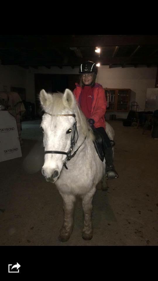 Anden særlig race Jumping Victory - 1. ridetur på Viggo billede 13