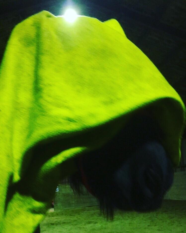 Frieser Afroditte billede 11