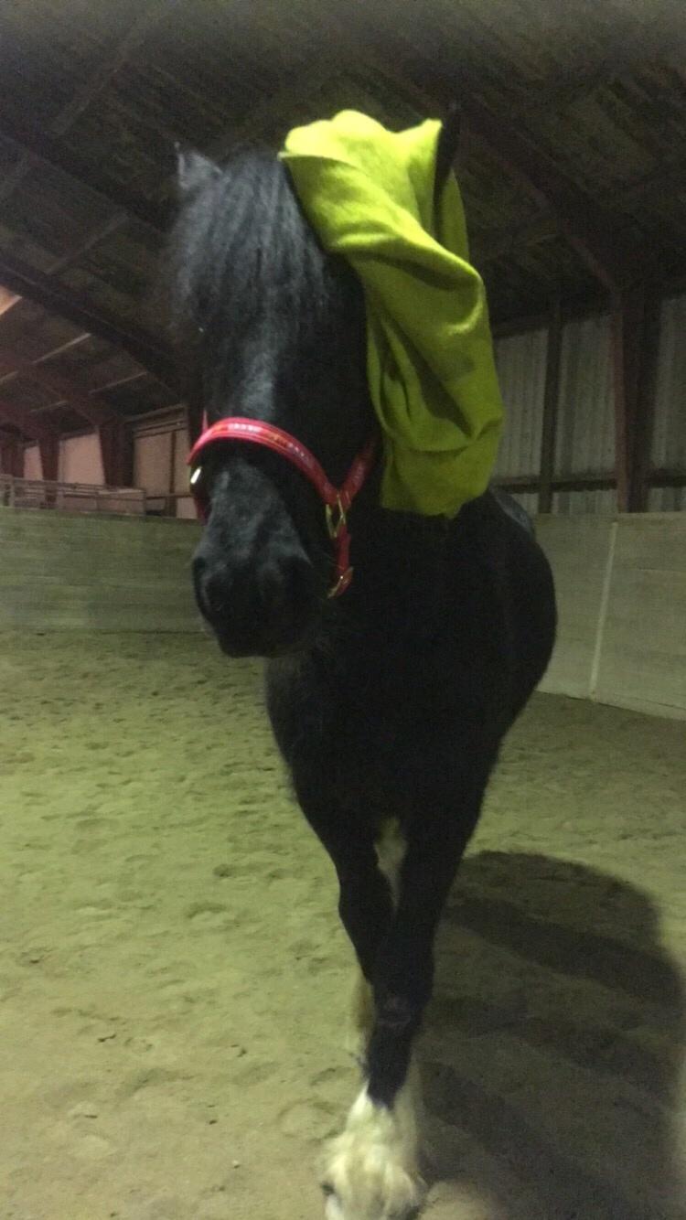 Frieser Afroditte billede 10