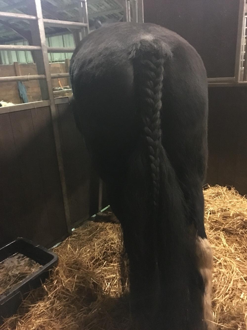 Frieser Afroditte billede 12