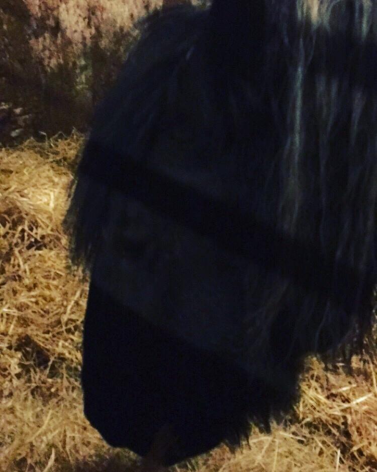 Frieser Afroditte billede 14