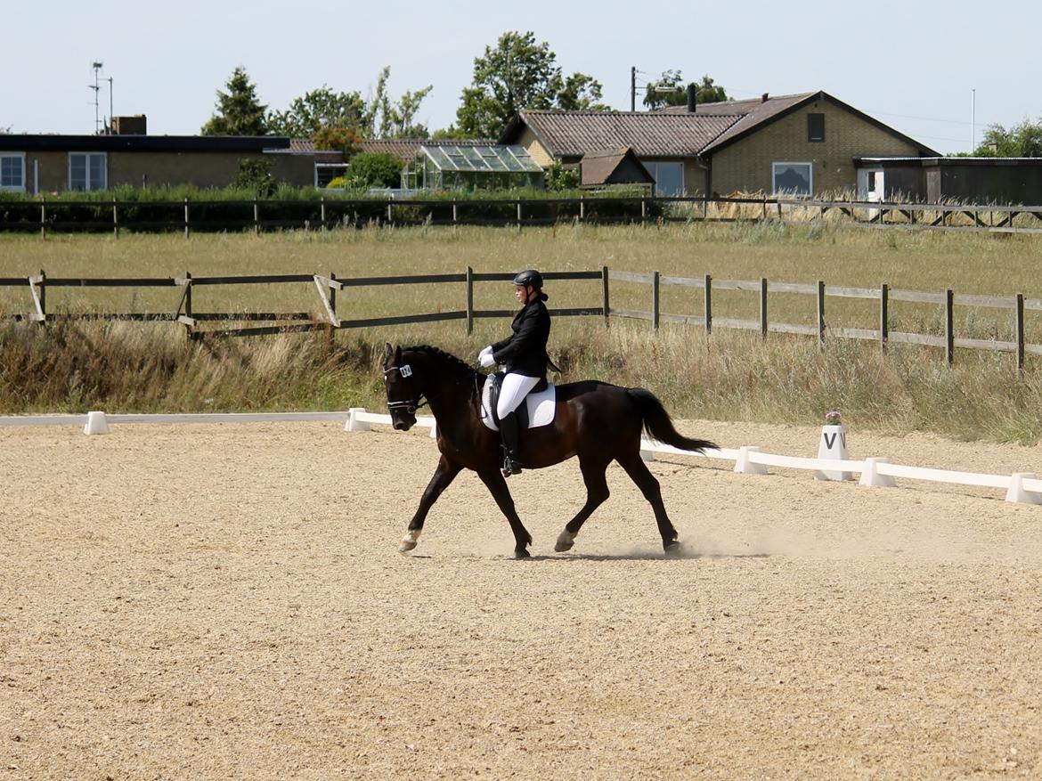 Oldenborg Emil Hornbæk billede 2