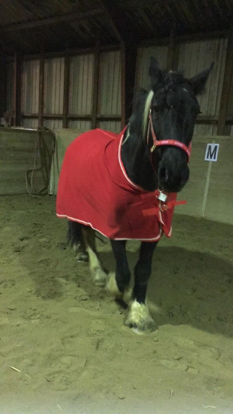 Frieser Afroditte billede 15