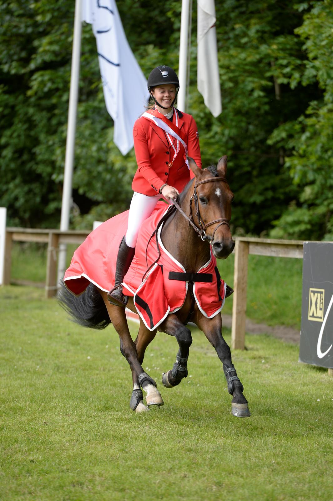 New Forest Runehøjs Rocco billede 4