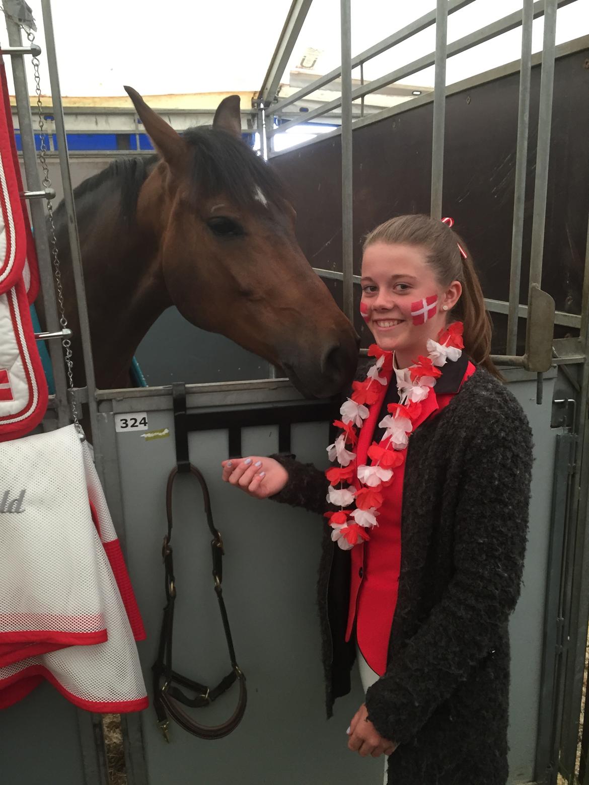 New Forest Runehøjs Rocco billede 8