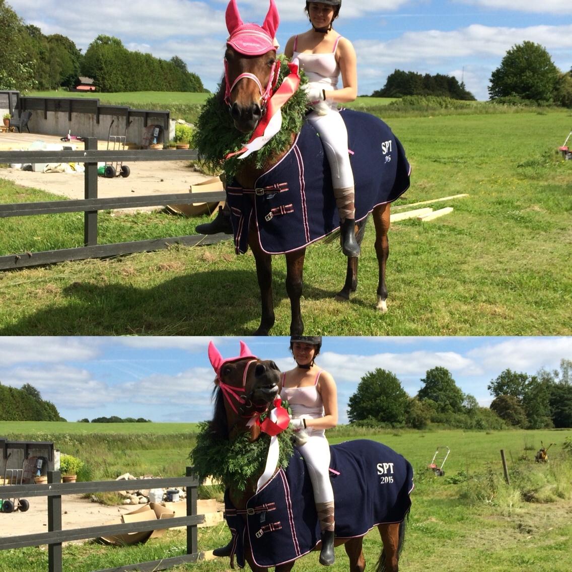 New Forest Øagergaards Mette (SOLGT) billede 35