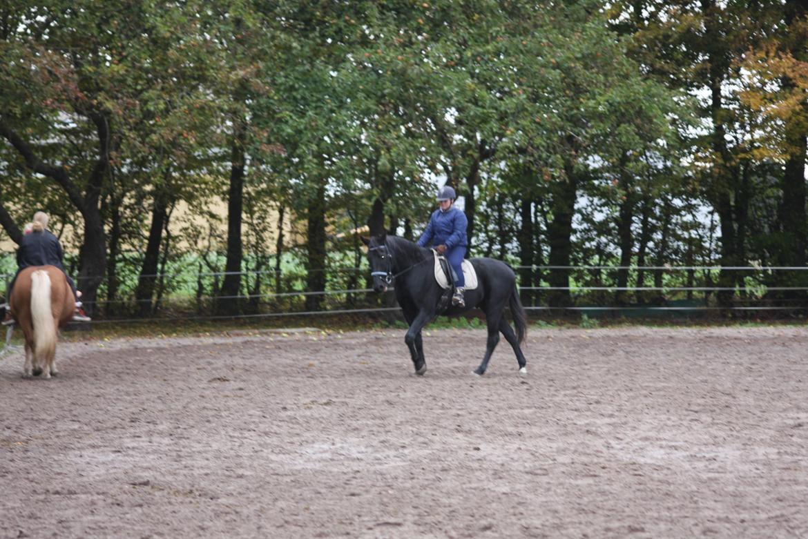 Anden særlig race I Piratus billede 19