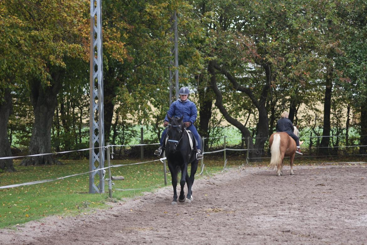 Anden særlig race I Piratus billede 20