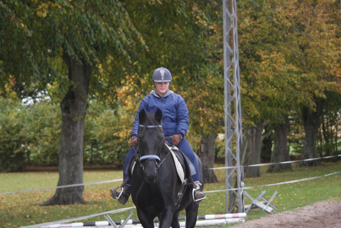 Anden særlig race I Piratus billede 21