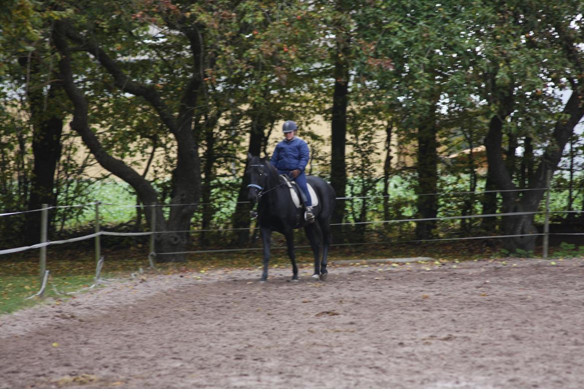 Anden særlig race I Piratus billede 23