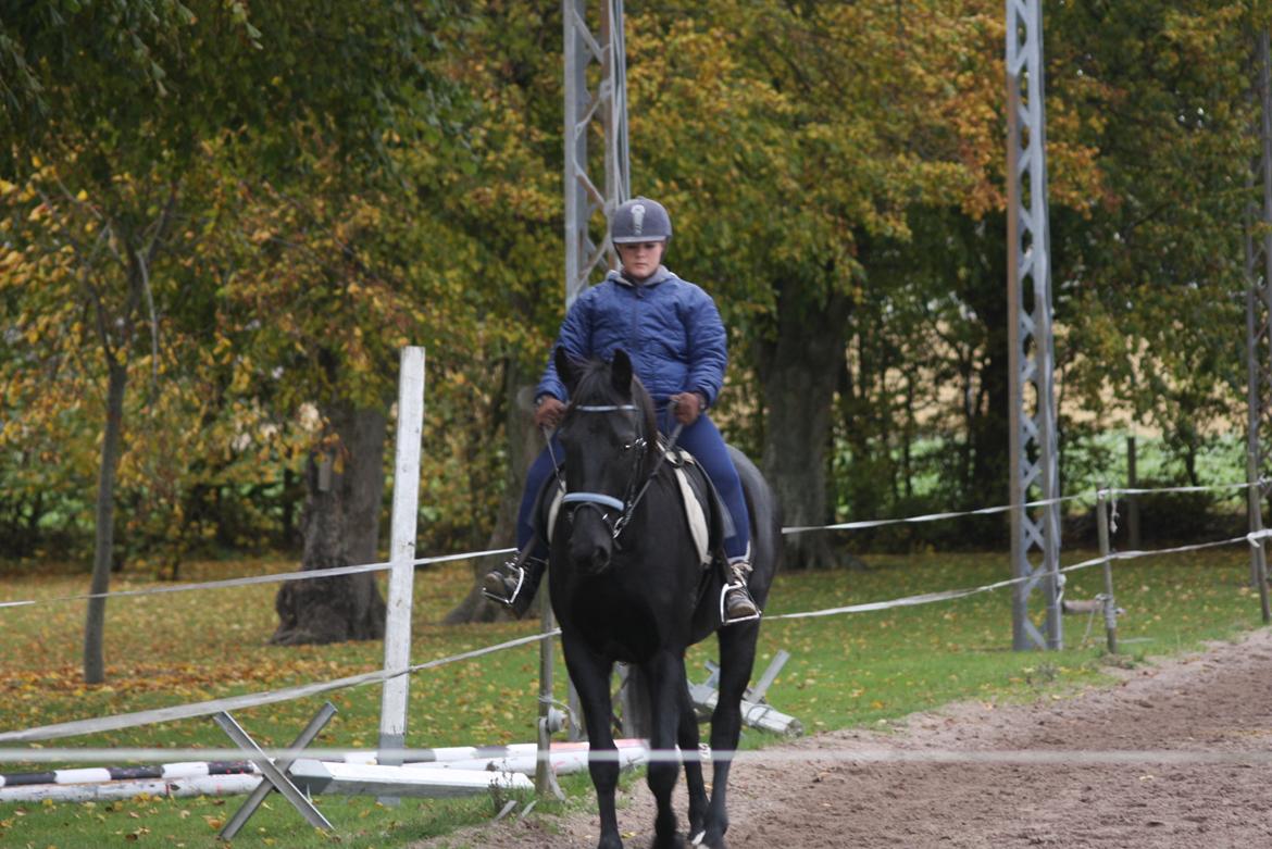 Anden særlig race I Piratus billede 24