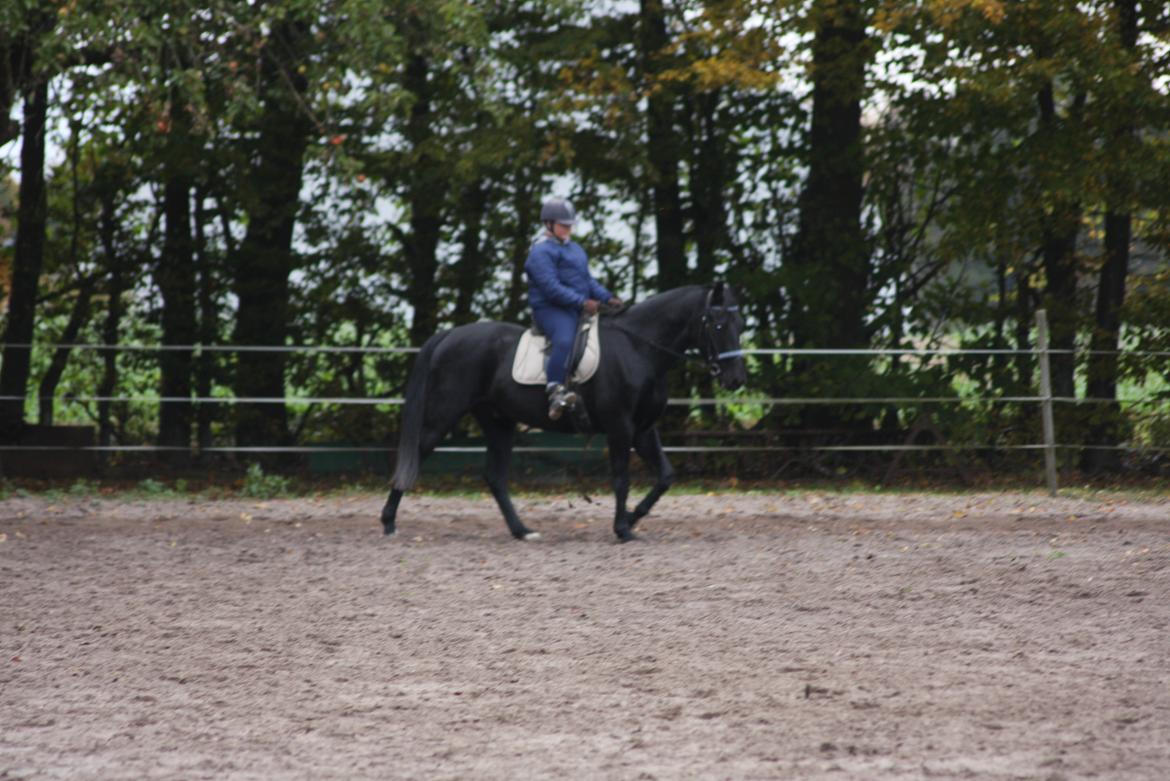 Anden særlig race I Piratus billede 26