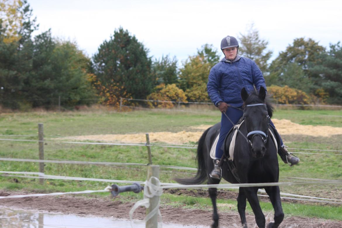 Anden særlig race I Piratus billede 27