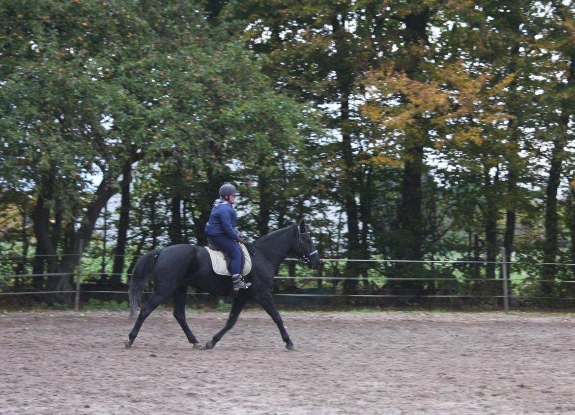 Anden særlig race I Piratus billede 28