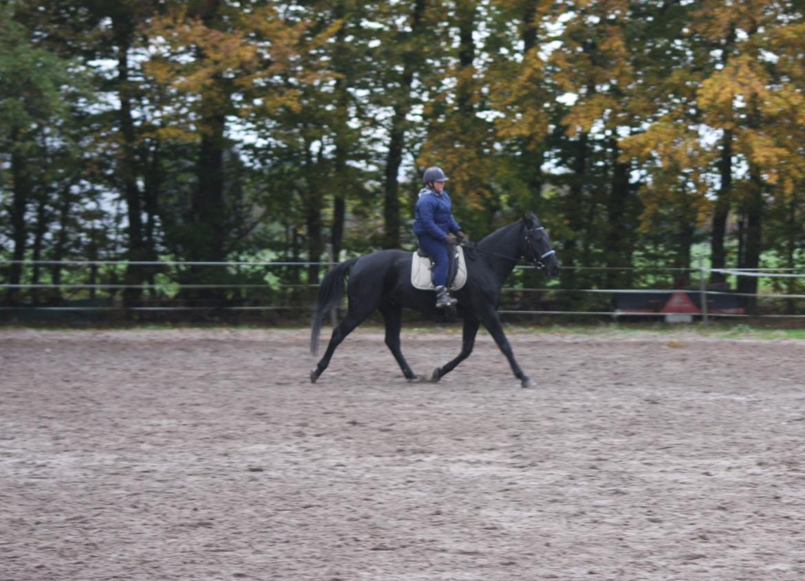 Anden særlig race I Piratus billede 29