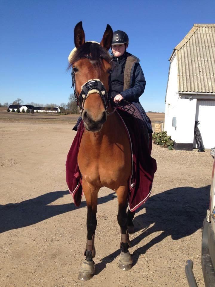 Frederiksborg Nytoftgaards Anastacia (Baby) billede 23