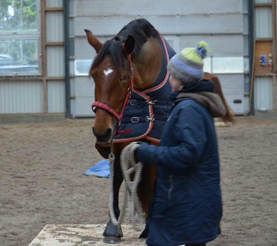 Frederiksborg Nytoftgaards Anastacia (Baby) billede 26