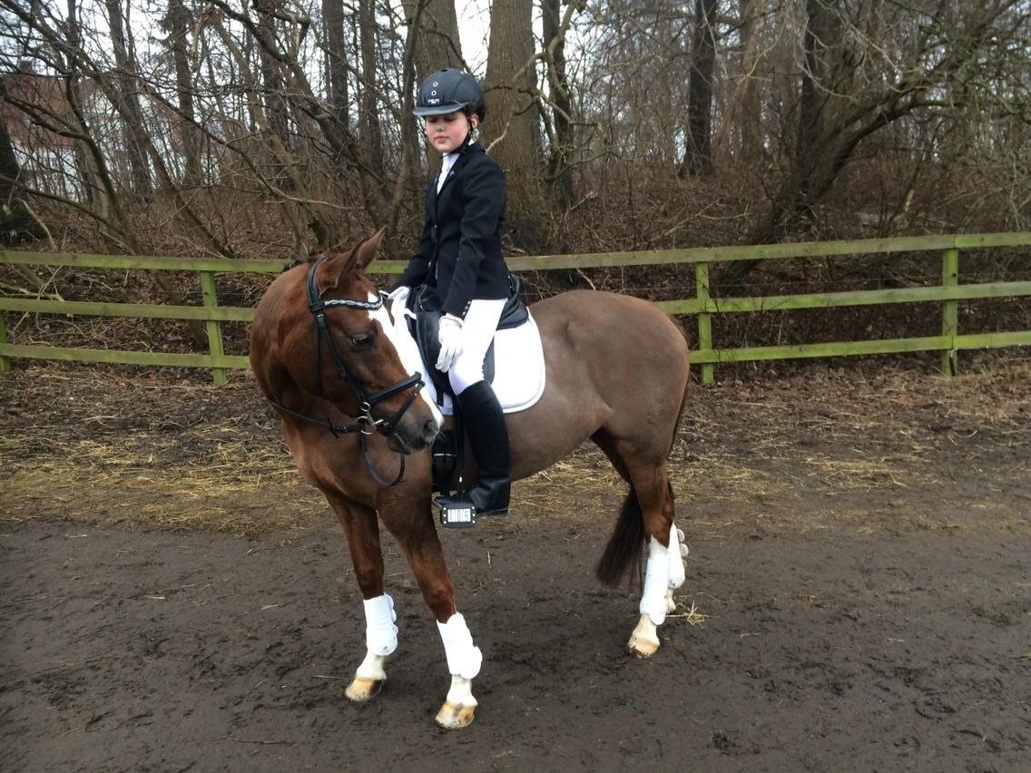 DSP Carla damgård billede 19