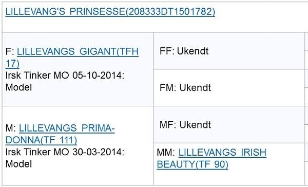 Tinker Lillevang's Prinsesse billede 20